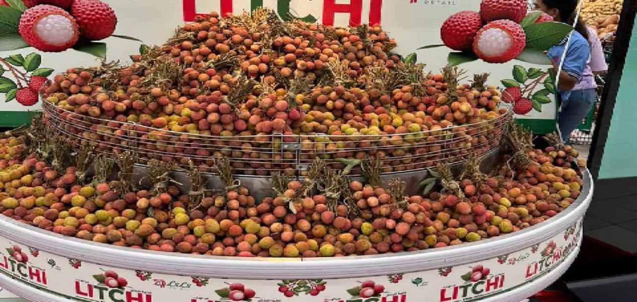 الليتشي الهندية في الأسواق العربية