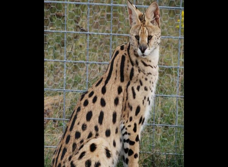 صورة تعبيرية