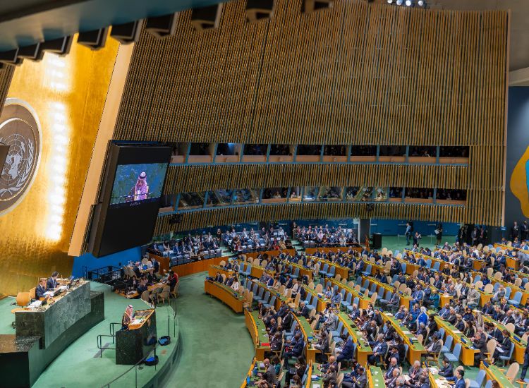  البيان المشترك الصادر عن رئاسة المؤتمر الدولي رفيع المستوى للتسوية السلمية للقضية الفلسطينية وتنفيذ حل الدولتين