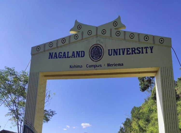جامعة ناغالاند تكتشف مركّبًا نباتيًا طبيعيًا يعزّز التئام الجروح لدى مرضى السكري