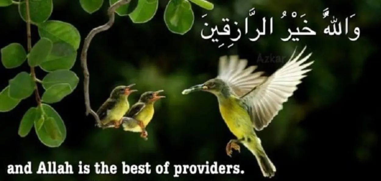 مفهوم الرزق: من الثروة المادية إلى السكينة الداخلية