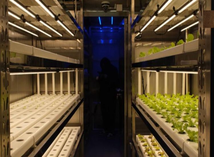 الصين تكشف عن أول مزرعة ذكية على متن السفن لتوفير خضروات طازجة في المناطق البحرية