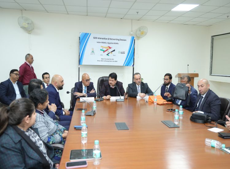 وفد مصري يستعرض الفرص الاستثمارية في الهند ويبحث دعم الشركات الصغيرة والمتوسطة