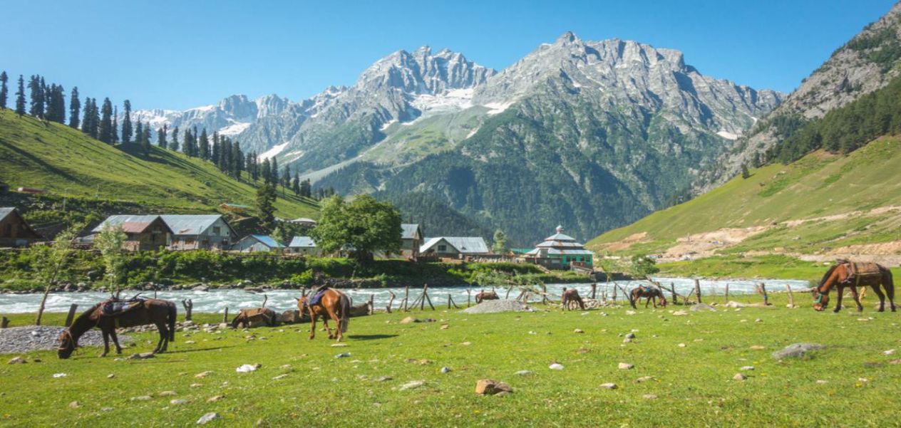 حديقة كيشتوار الوطنية.. ثاني أكبر حدائق جامو وكشمير