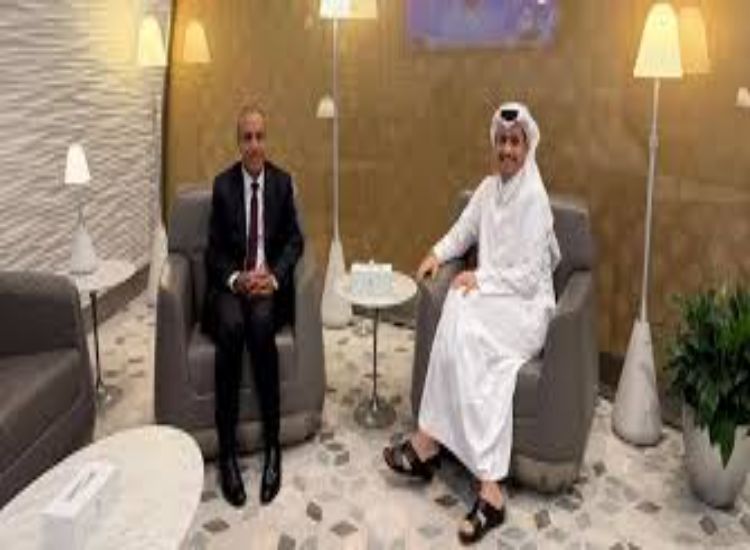وزير الخارجية المصري ونظيره القطري يبحثان هاتفيًا التطورات الإقليمية