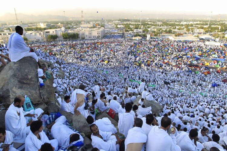 توافد حجاج بيت الله الحرام إلى صعيد عرفات لأداء ركن الحج الأعظم