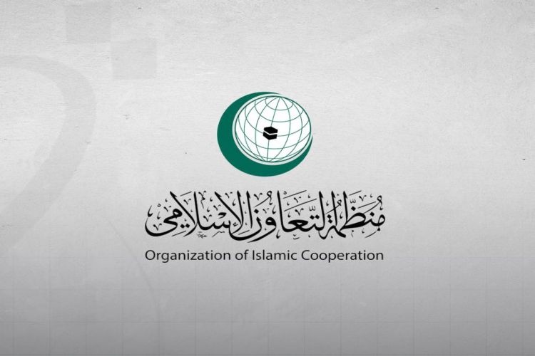منظمة التعاون الإسلامي تدين الاعتداءات الإسرائيلية المستمرة على سوريا