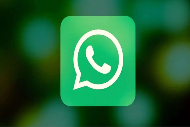 الهند تطالب ميتا بتأجيل إطلاق ميزة 