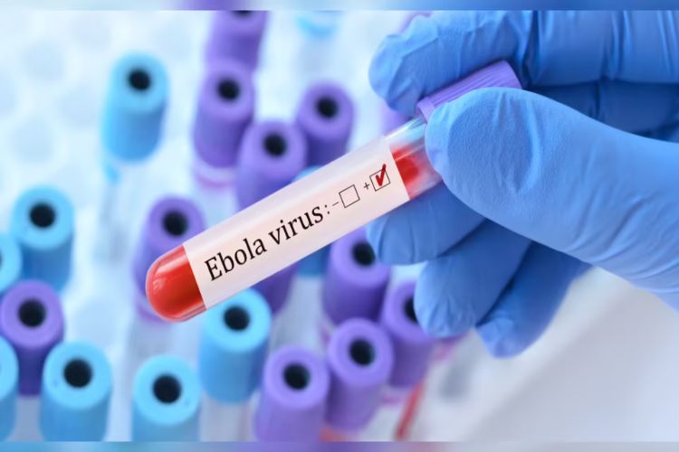 بدء تجربة سريرية لعلاجين محتملين لـ