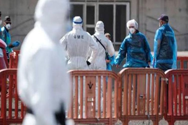 وفاة 3 أشخاص في فنزويلا بسبب فيروس هانتا