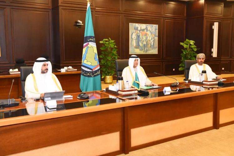 الأمين العام لمجلس التعاون ووزير الخارجية المصري يبحثان آخر التطورات والأوضاع في المنطقة