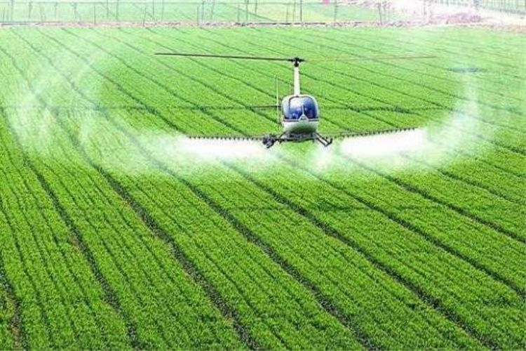 الصين تكشف عن خطة زراعية لتعزيز القدرة الإنتاجية للحبوب بحلول عام 2030