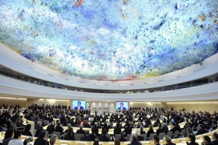 السودان.. مجلس حقوق الإنسان يعتمد قرارًا يدين استمرار النزاع ويمدّد ولاية بعثة تقصي الحقائق