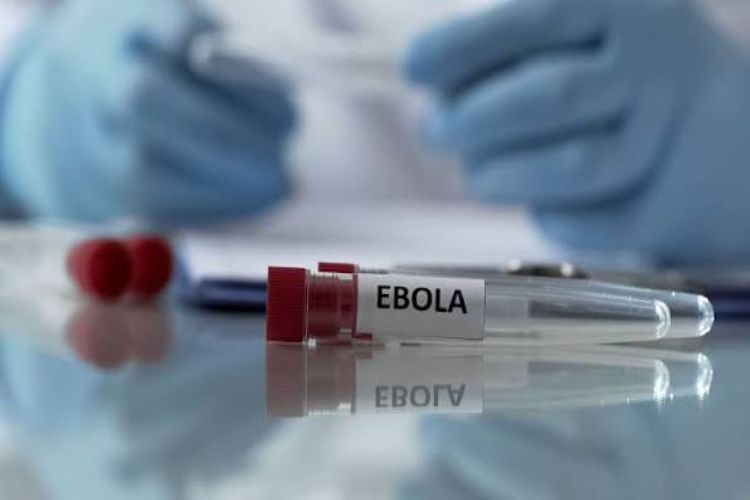الكونغو الديمقراطية تبدأ اختبار لقاح جديد لمكافحة إيبولا