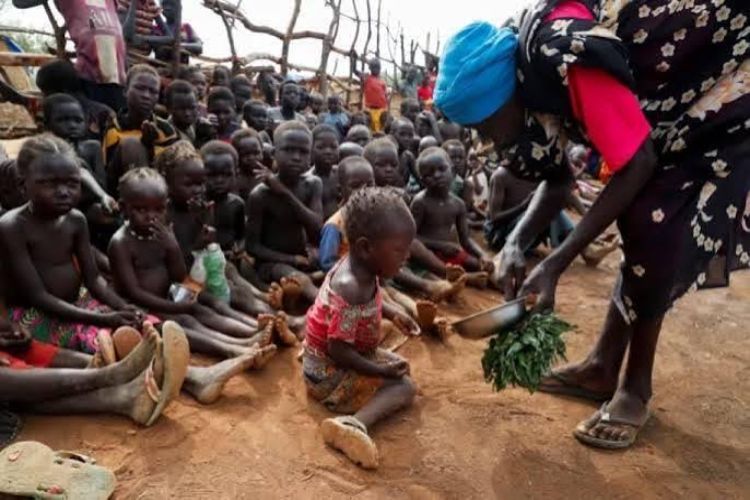 بيان دولي عاجل يحذر من مجاعة وشيكة في السودان